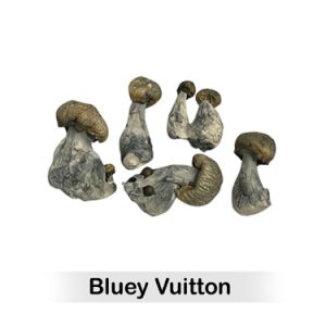 Bluey Vuitton